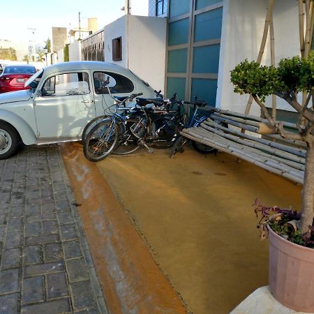 Casa Zen Hotell Pachuca Eksteriør bilde