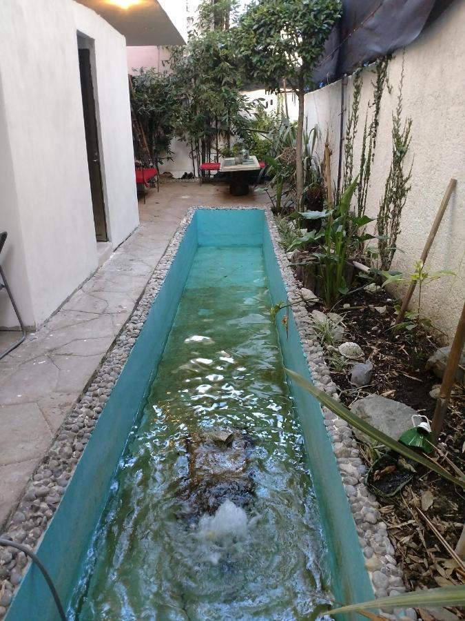 Casa Zen Hotell Pachuca Eksteriør bilde