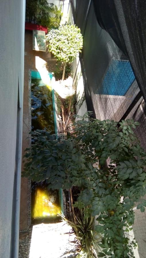 Casa Zen Hotell Pachuca Eksteriør bilde